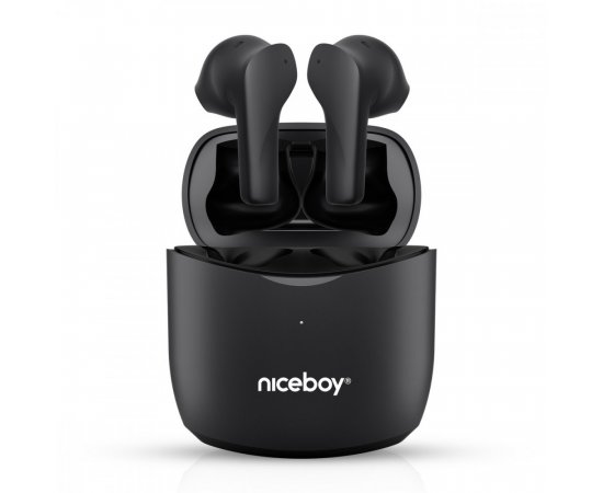 NICEBOY HIVE BEANS CONCERT