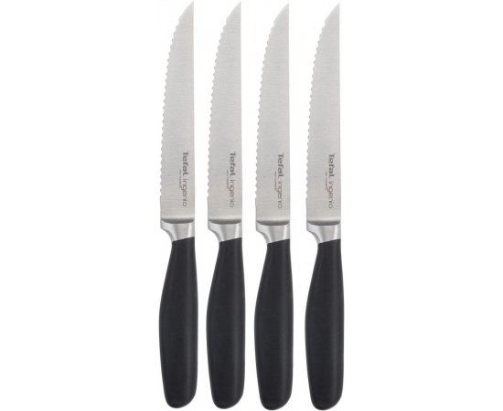 TEFAL K091S414 INGENIO SADA 4 NEREZOVYCH NOZOV 12,5 CM