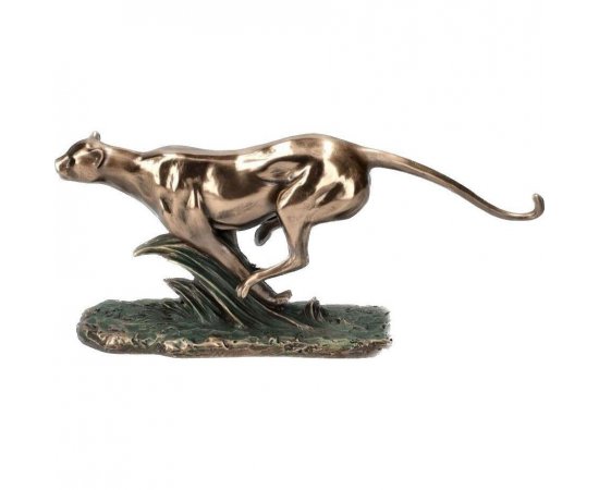 VERONESE GEPARD BEZIACI