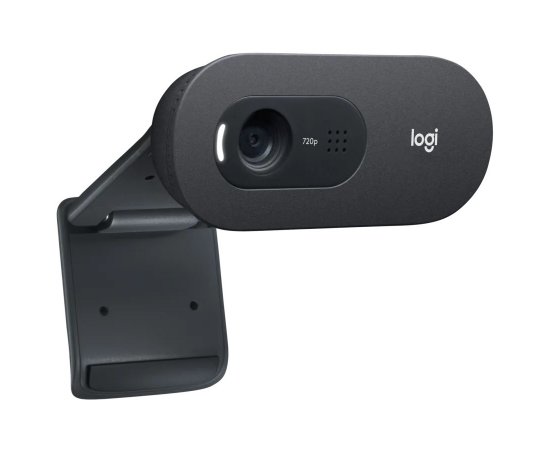 LOGITECH C505E BUSINESS WEBCAM BLK USB N/A WW
