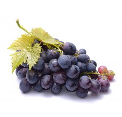 ALFAPUREO ELEGANT CABERNET 200 ML