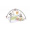 MATTEL FISHER PRICE HRACIA DECKA 5 ZMYSLOV /25GKD45/