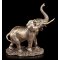 VERONESE SLON