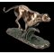 VERONESE GEPARD BEZIACI