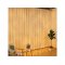 COLORWAY LED GIRLANDA/ VNUTORNE/300LED/DLZKA 3 X 3M/TEPLA BIELA/ AC 220V (CW-GW-300L33V)