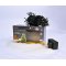 SOLIGHT 1V07-WW LED VONKAJSIA VIANOCNA RETAZ, 400 LED, 20 M, 8 FUNKCII, IP44, TEPLA BIELA