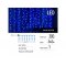 COLORWAY LED GIRLANDA/ VNUTORNE/300LED/DLZKA 3 X 3M/MODRA/ AC 220V (CW-GW-300L33VBL)