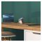LEGRAND PREDLZKA 2Z 2M + Qi BEZD. NAB.10W + USB A+ USB C