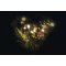 EMOS ZY1442 ZACLONA CONNECT 100LED 1X2 IP44 WW