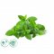 ALFAPUREO MINT FRESH 200 ML - DEZINFEKCNY AROMA OLEJ