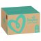 PAMPERS ACTIVE BABY S5 150KS, 11-16KG