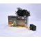 SOLIGHT 1V07-W LED VONKAJSIA VIANOCNA RETAZ, 400 LED, 20 M, 8 FUNKCII, IP44, STUDENA BIELA