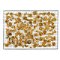 STATUS 6600152
